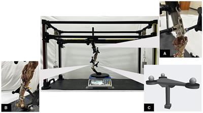 Ex vivo biomechanical investigations of combined extra- and intracapsular stabilization in canines with cranial cruciate ligament deficiency